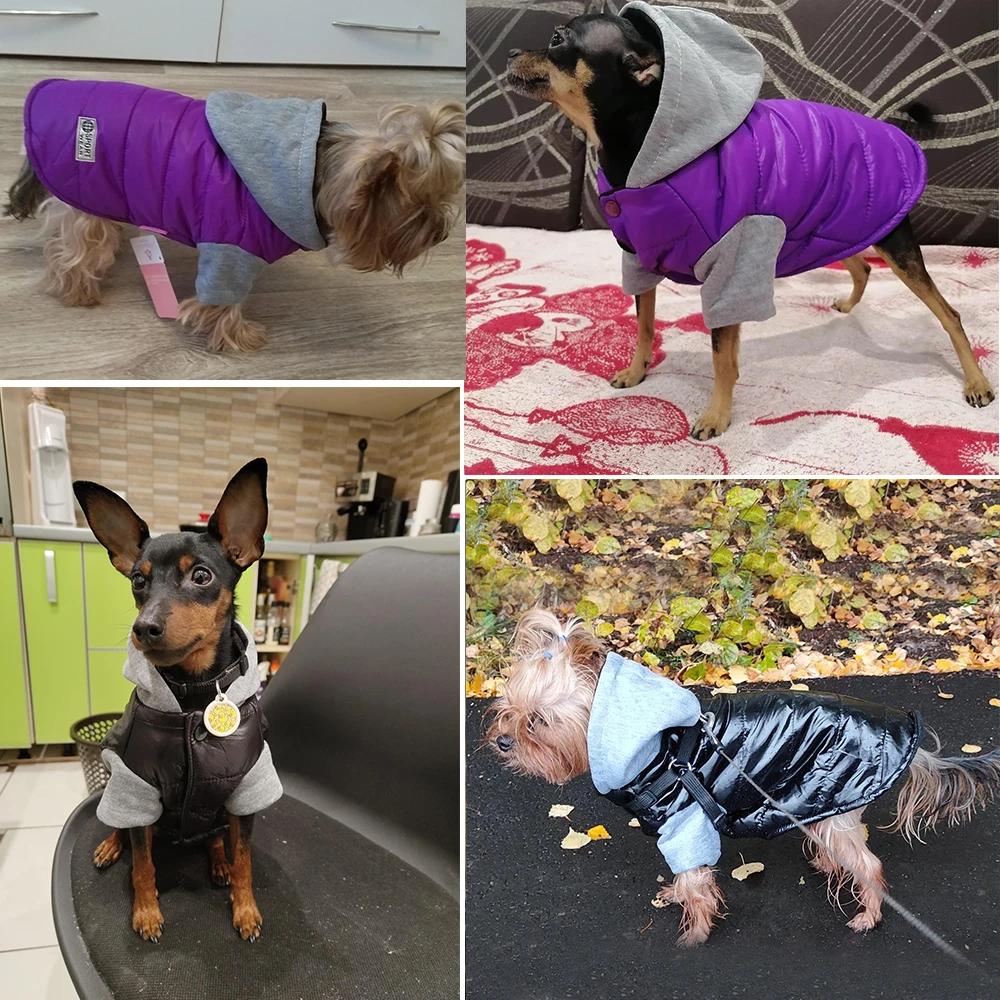 Dog Clothes For Small Medium Dogs Cat Jacket Winter Puppy Coat Hooded Jumpsuit Windproof Chihuahua Yorkshire Costume Pet Outfits