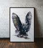 Poster Owl Abstract Watercolor In Black Frame 