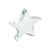 MidOcean Starward Glass Star Ornament