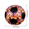 Spyro the Dragon Indoor Soccer Ball Colorful Machine Stitched PVC Size 5 Team Training Competition Ready Durable High-Bounce Cool Sports Gift