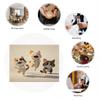 4/6/8pcs Fun Cat Print Linen Placemat, Rectangular Table Mat, Hand Washable, Home Decor Dining Room and Kitchen Mat Set