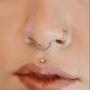 European-American Zirconia G23 Titanium Alloy Nose Ring & Stud