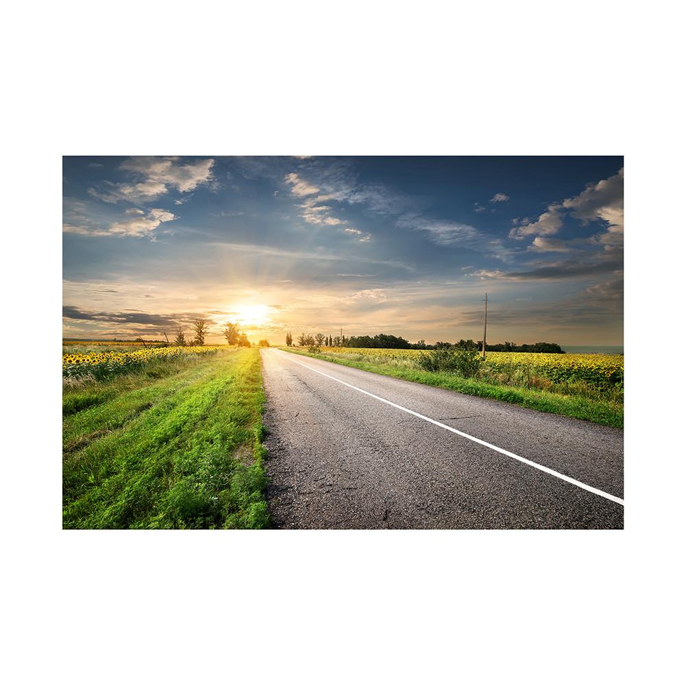 150*100cm/225*150cm Natural Scenery Photography Background Highway Landscape Travel Photo Backdrops Studio Props