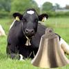 4Pcs Copper Cow Sheep Bells - Loud Metal Grazing Bells for Livestock Pets and DIY Crafts