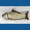 Elektrischer Fisch-Teaser Katzenspielzeug Realistischer Fisch Springender Fisch USB Springender Fisch Katzenspielzeug