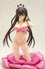 Lingerie Style IS [Infinite Stratos] Shinonono Houki Animaru! Limited Ver. 1/8 Scale PVC