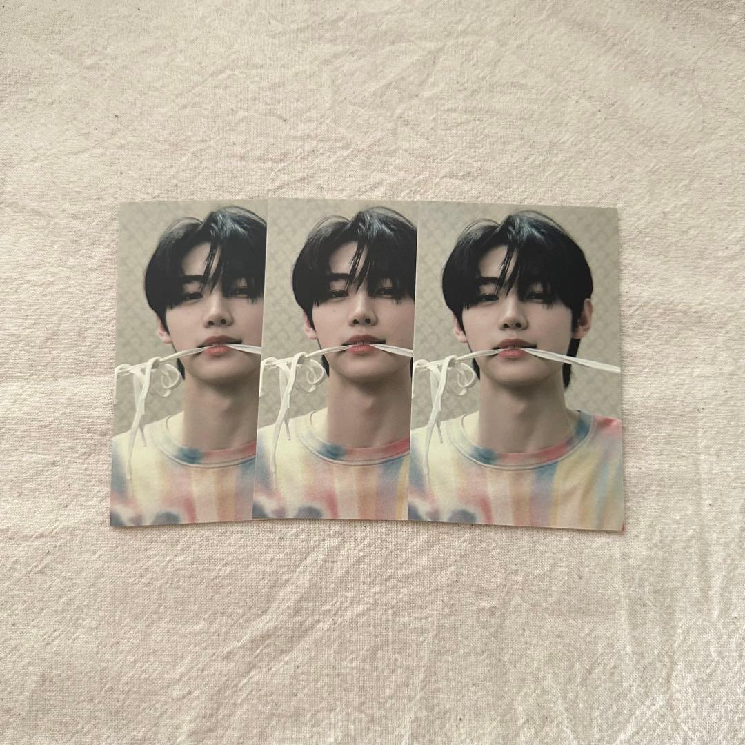 

[USED] ENHYPEN dilemma Universal Studios Japan bonus Sunghoon