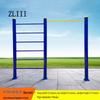 ZLIII Outdoor Pull-Up & Dip Bar System