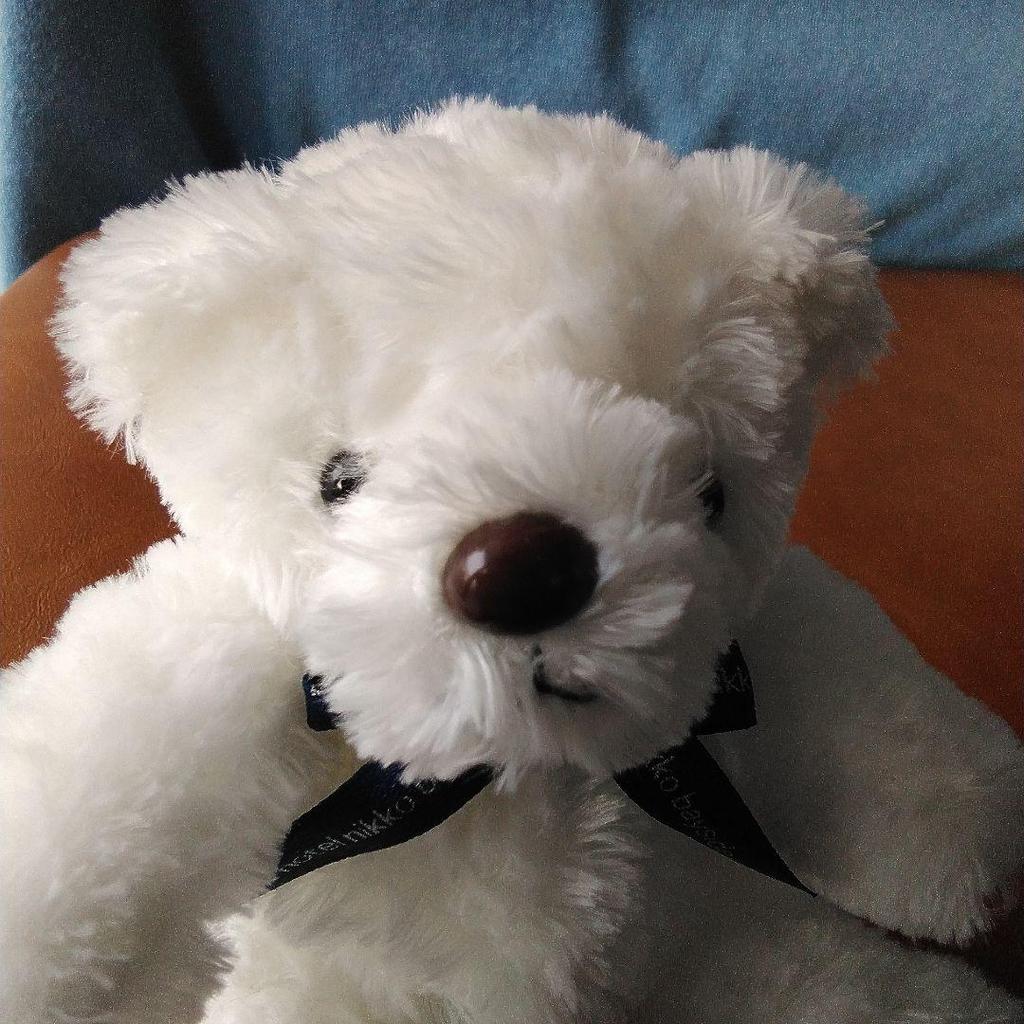 [USED] Mini Teddy Bear (Pair/Twins) Stuffed Bears