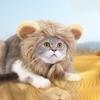 Soft Lion Mane Wig Cap Hat Breathable Cat Wig Hat Creative Pet Lion Hat  Christmas
