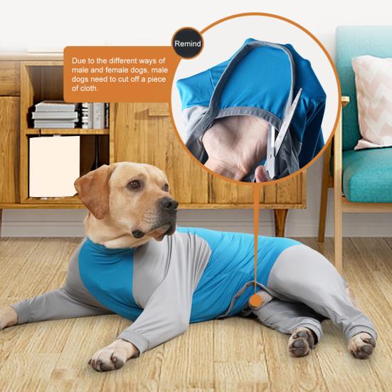 Pet Recovery Suit High Elasticity Comfortable Convenient Soft Allergy Free Prevent Licking