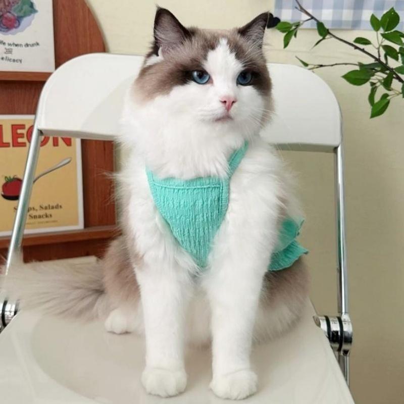 Cute Soft Dog Sling Dress Sweet Bow Dog Clothes Spring Puppy Princess Skirt Fashion Solid Cat Dress Pet Vest Bichon Dog Outfits