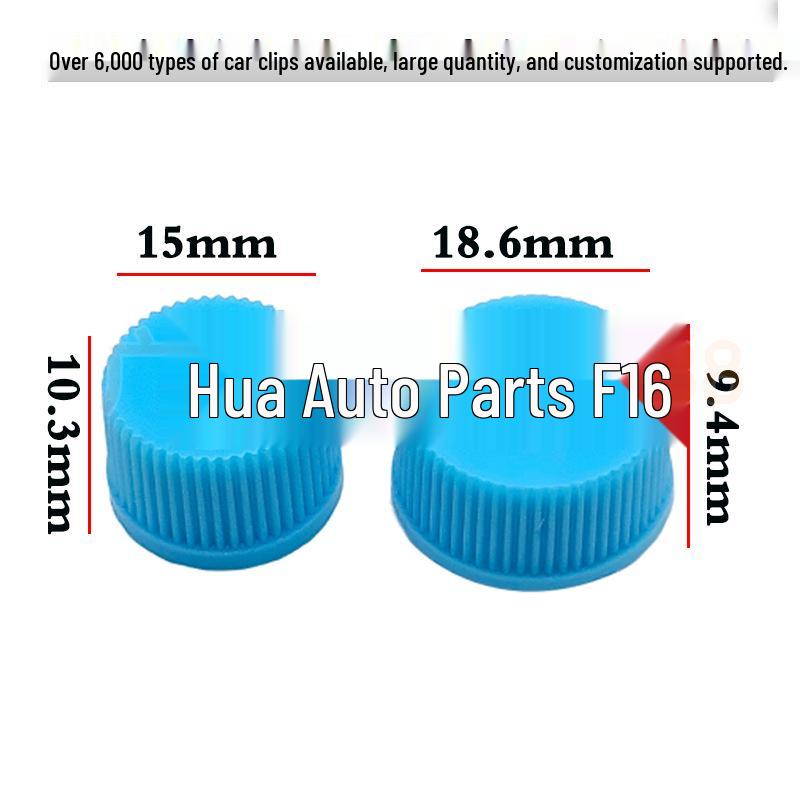 Modern Car Air Conditioning High/Low Pressure Valve Dust Cap and Refrigerant Charging Nut