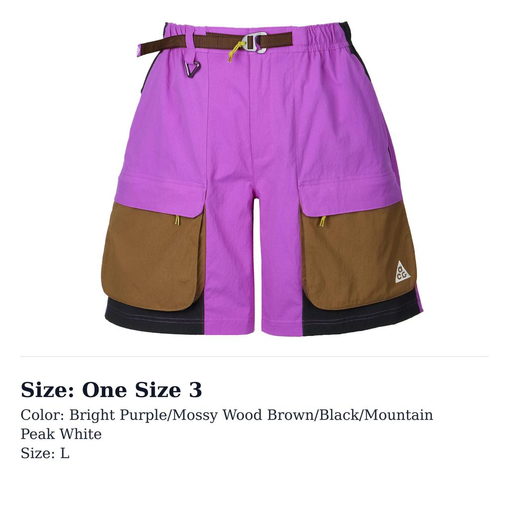 Nike SS25 ACG 'Smith Summit' Cargo Shorts Herre HV0594-551