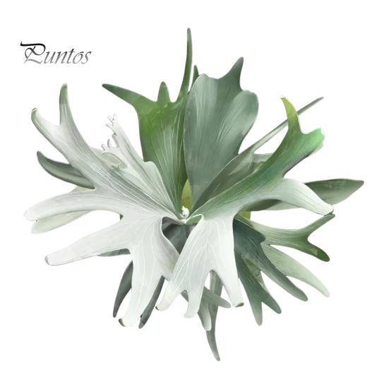 Tropical Plant Refrigerator Magnets 3D Plants Magnet, Acrylic Green Decorative Fridge Home Decor Memo Notes Photo Holder for Kitchen Office