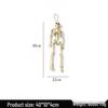 Halloween Skeleton Decoration: 90cm Human Skull Skeleton Ornament for Parties & Hanging Decor