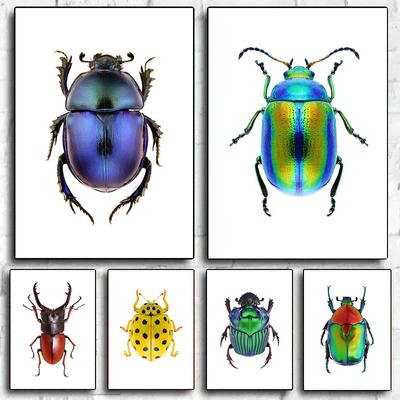 HD-Druck, Insektenkäferrassen-Sammlung, Poster und Druck, Leinwandgemälde, Retro-Wandkunst für Wohnzimmer, Heimdekoration, Cuadros