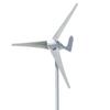 Lingfengda S-Type 100W 12/24V Micro Wind Turbine for Lighting Projects