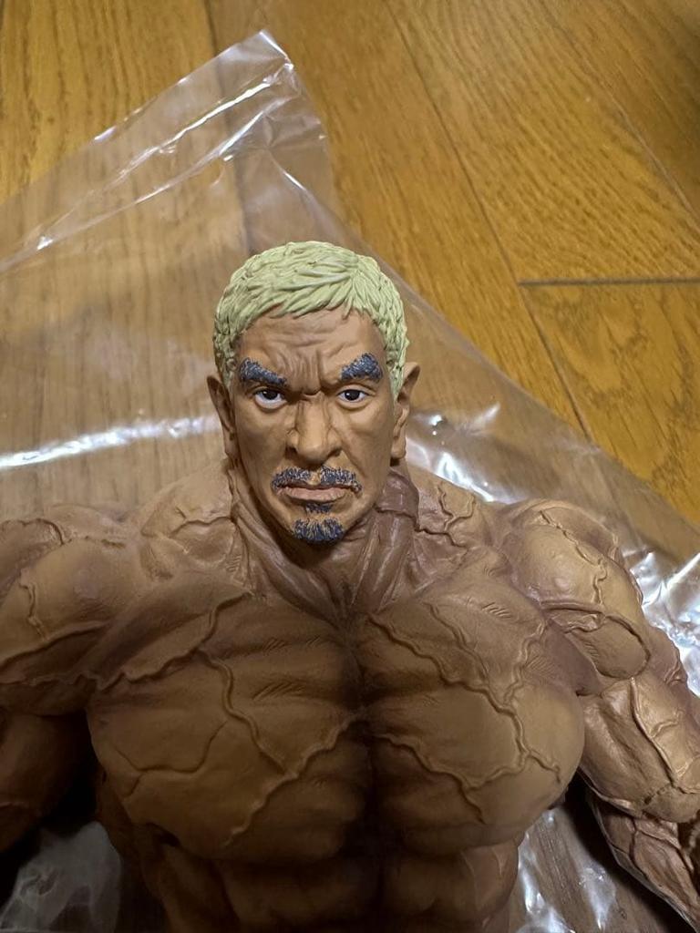 [USED] Matsumoto Figure Final Form Ver.