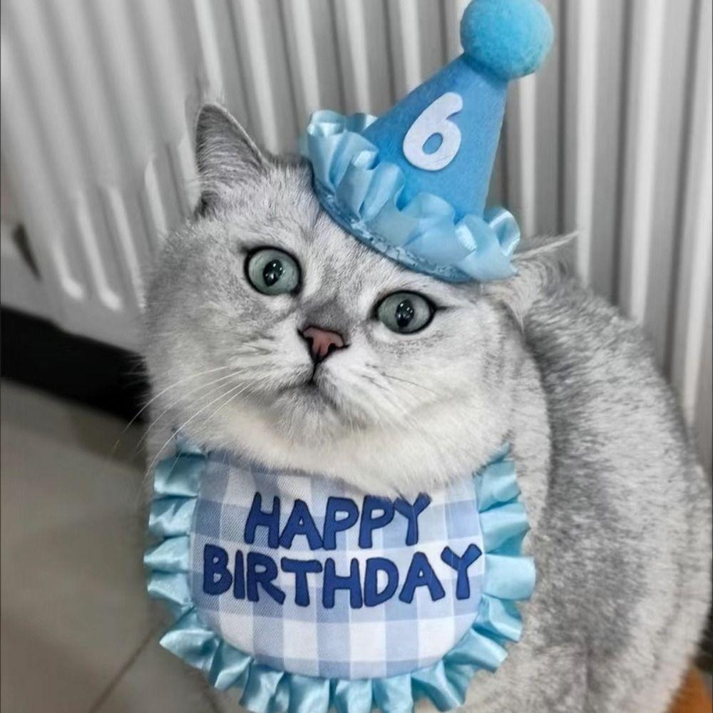 New Pet Bib Cat Birthday Scarf Hat Set Party Dress with Digital Stickers Props Set Cotton Polyester Dress Up Ornaments