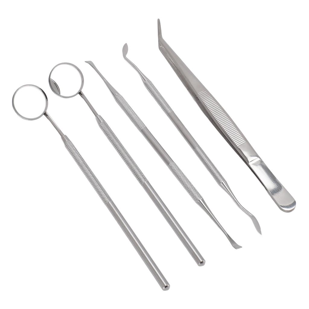 5pcs Teeth Cleaning Tools Stainless Steel Tooth Tartar Scraper Oral Care Tool with 2 Mouth Mirror 2