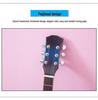 41-Inch Solid Spruce Top Folk Guitar with Cutaway and Matte Finish