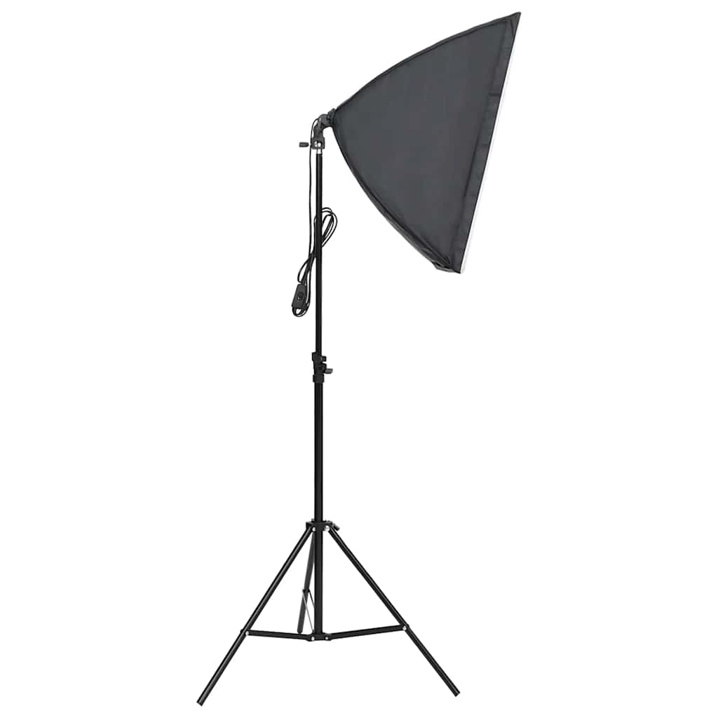 Vidaxl Lampade Professionali da Studio, 2 Pezzi, 40X60 Cm