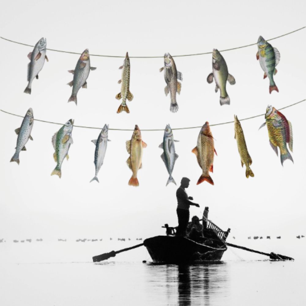 DIY Paper Fish Garland Fisherman Themed Fish Flag Decorations Fishing Hanging Banners  Home Decor