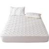 Four Seasons Quilted Raw Cotton Soybean Mattress Protector: Machine-Washable, Dustproof, Fully Enclosed Cover