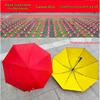 Accesorii – Umbrele