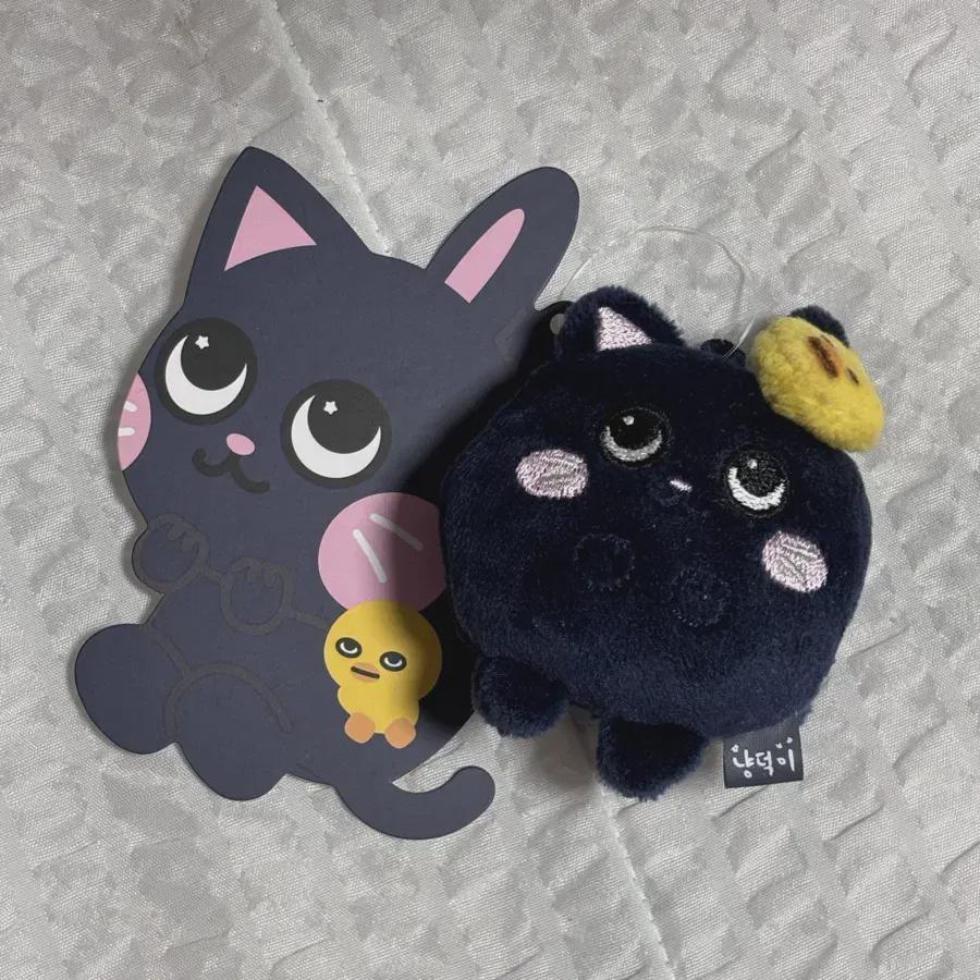 I Sell Riize Mini Tonyangdeok