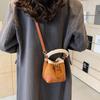 Y2K Retro Plush Crossbody Bucket Bag: Women's Mini Handbag with Frayed Edge, Versatile for Autumn and Winter