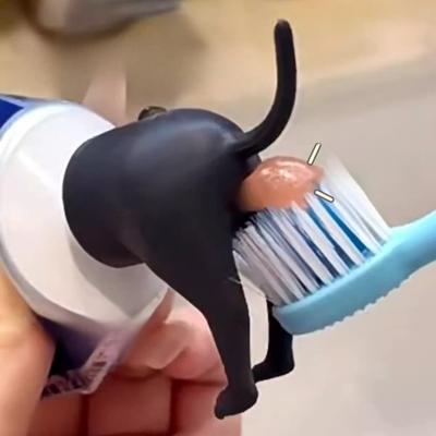 Banyo ve tuvalet – Diş macunu sıkacağı