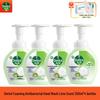 Foaming Antibacterial Hand Wash, Lime Scent, 250ml, 4-Pack