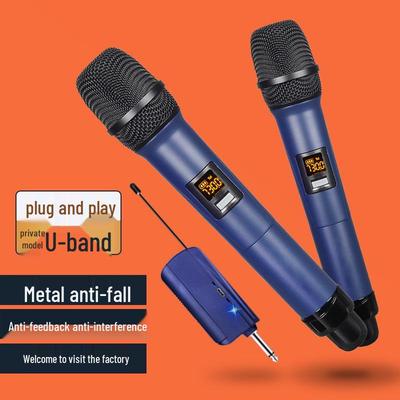 Audio- & Videozubehör – Mikrofone