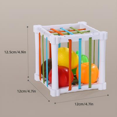 Fruit Cecele Shape Color Color Fruit Cognition Rainbow Cecele Interactive Game Toy