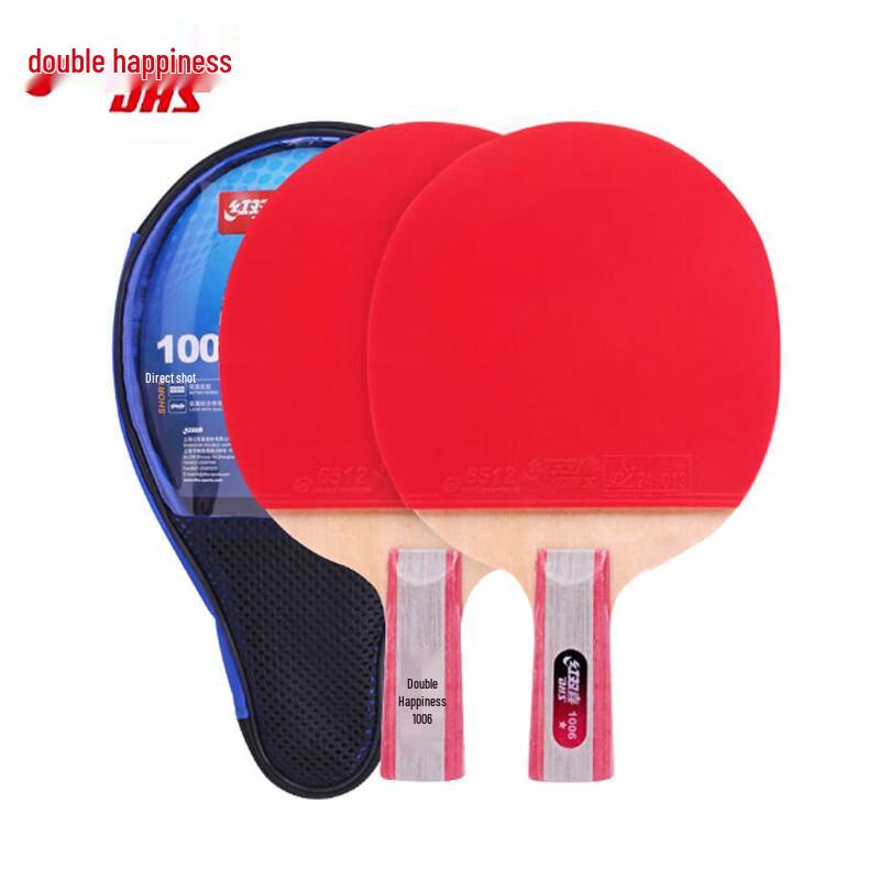 DHS H1006 1-Star Beginner Table Tennis Racket