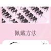 LuxeFlutter - Glue-Free Natural Cluster False Lashes