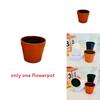 Plastic Flower Pot With Foam For Home Gardening And Live Plant Display