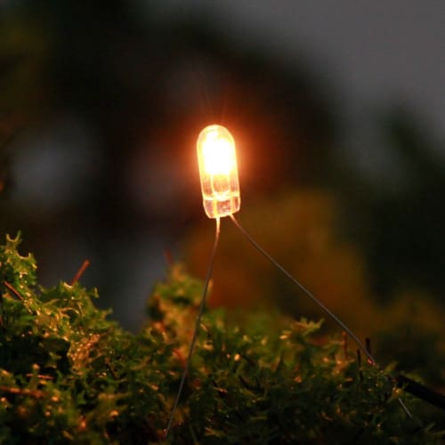 Pack of 100 2.5mm 12V Clear Wheat Bulbs, Compact, for Diorama Illumination, Model Trains, Railways, Buildings, and More (MP03W-100JP)