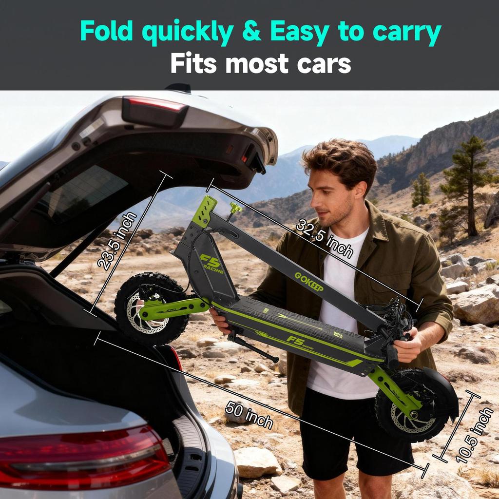 Elektroroller Faltbar Gokeep 11" 1000W Motor Vollfederung Escooter 52V 20AH Max. Reichweite 70Km Last 120Kg F5