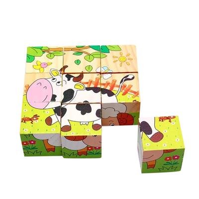 Children Wooden 9  Six Sides Building  Dimensional Puzzle