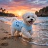 Thin Breathable Dog Summer Clothes Soft Fabric Cooling Pet Vest Mesh Dog Vest  Casual Outfit