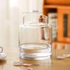 YHOMBES Glass Vase, Large, Stylish Flower Vase, Large, Transparent, Suitable for Hydroponics, Flower Arrangements, Artificial Flowers, Etc., Stylish a