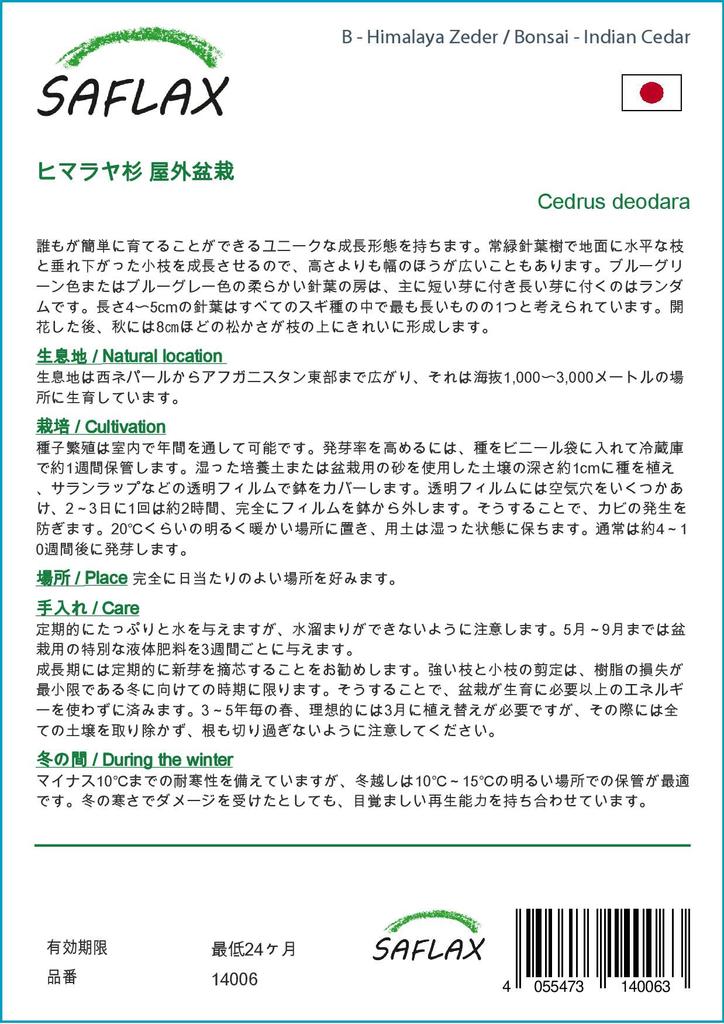 SAFLAX Garden In the Bag - Bonsai - Indian Cedar - 35 Seeds - With Substrate In a Fitting Stand Up Bag - Cedrus Deodara