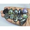 286Cts. Natural Purple Labradorite Spectrolite Pear Loose Gemstone 11Pcs Lot LL-1172