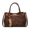 Leopard print bag women's large-capacity 2025 new autumn and winter niche design messenger bag popular ins portable commuter bag