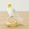 Wooden Parrot Perch Stand Bite-resistant Bird Rocking Stand Bird Training Stand  Behavior Training