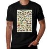 Frog World Frogs and Toads of the World TShirt Lightweight Print TShirt