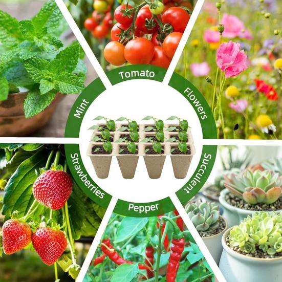 12-Cell Seedlings Tray Biodegradable Plant Pots Breathable Seeds Starter Tray with Tags And Tools for Flowers